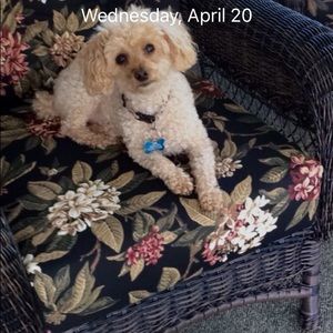 Meet your Posher, Francine